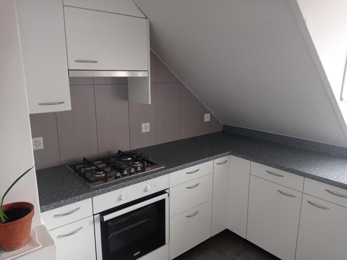 Gemuetliche Dachwohnung Санкт-Галлен Экстерьер фото
